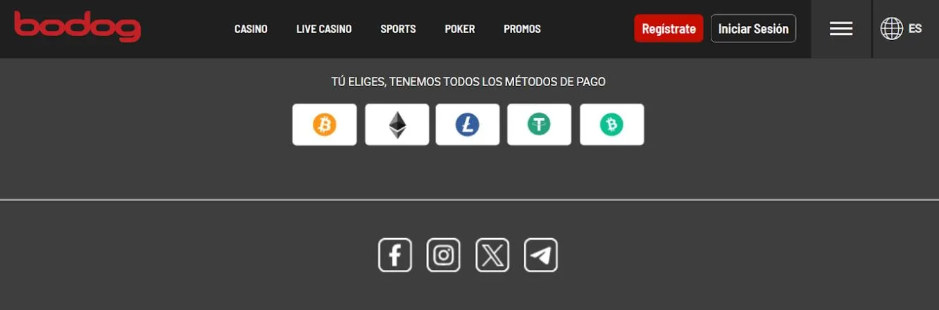 ecuador casinos online bodog